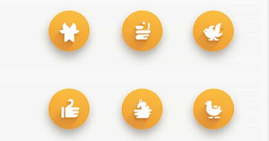 what is the definition of staidness