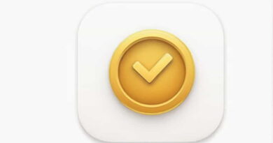 what is the definition of verger